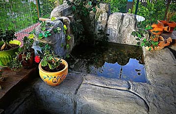 Salsa Ankara Dans Akademisi - 5. Fotoğraf Salsa Ankara Dans Akademisi - 5. Fotoğraf