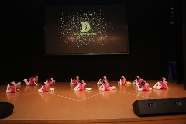 TC. MEB Düş Sanat Akademi - 9. Fotoğraf TC. MEB Düş Sanat Akademi - 9. Fotoğraf