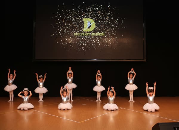 TC. MEB Düş Sanat Akademi - 8. Fotoğraf TC. MEB Düş Sanat Akademi - 8. Fotoğraf