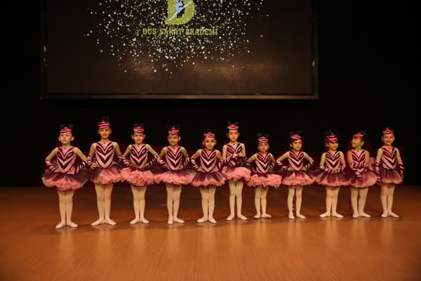 TC. MEB Düş Sanat Akademi - 5. Fotoğraf TC. MEB Düş Sanat Akademi - 5. Fotoğraf
